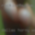 Dallas horny women looking
