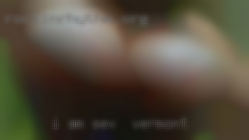 I am very sex in Vermont open minded,Kinky  if you may.